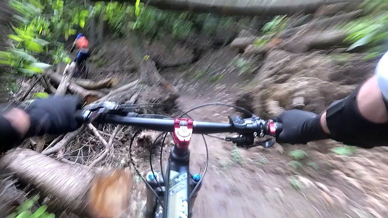 MTB Priero - Pineta