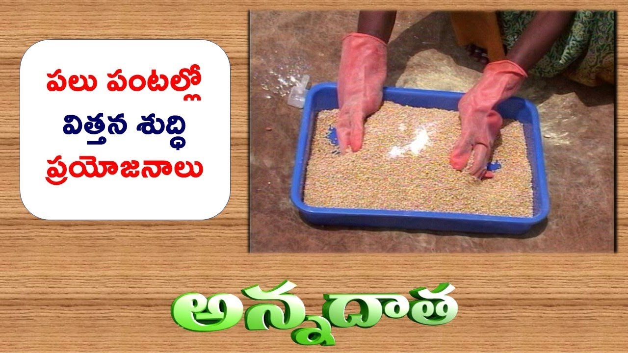 Seed Treatment | In Different Crops || ETV Anndata