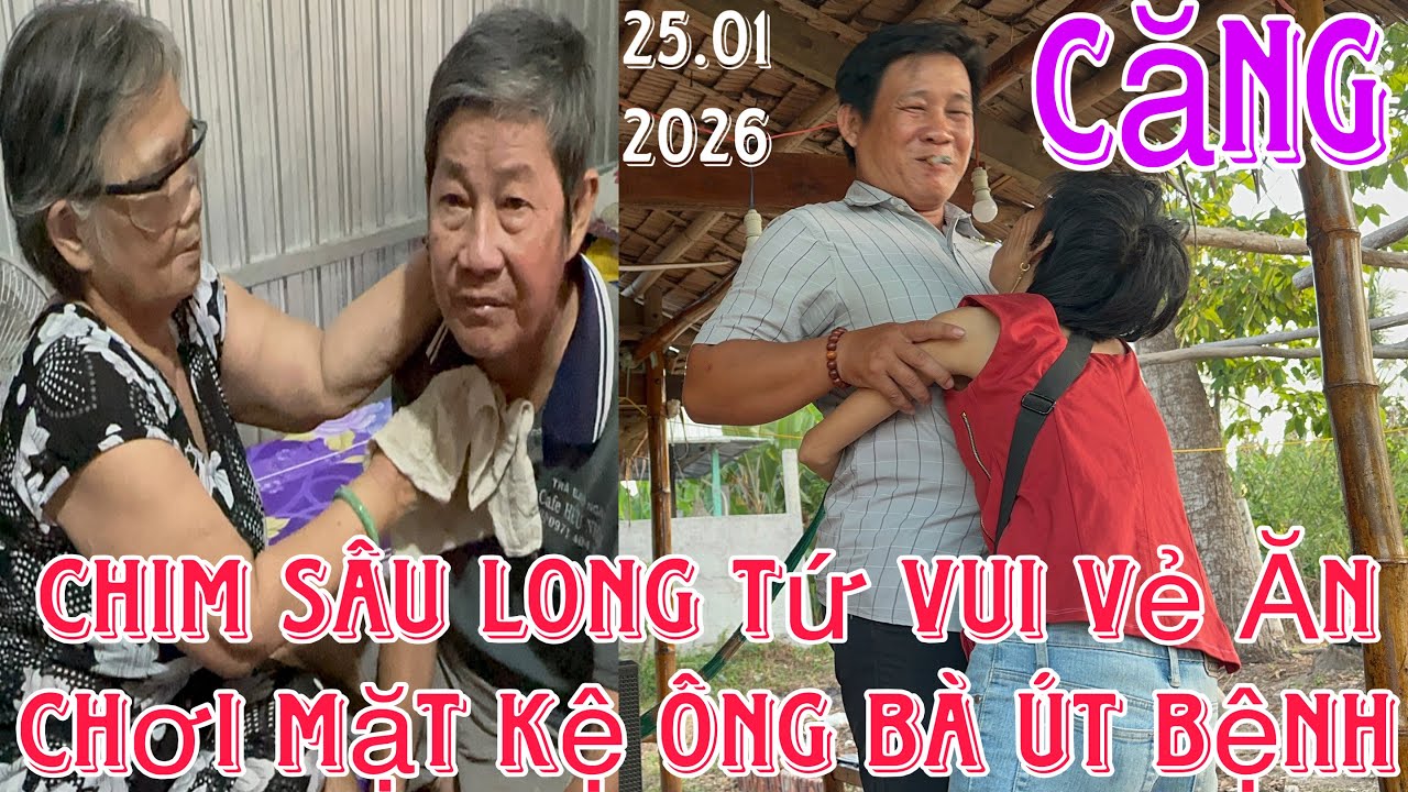 Chim Sâu Long Tứ Vui Chơi Làm Mồi Mặc Kệ Ông Bà Út #thinhhanh #yeucuocsong #mientay #giaitri 
