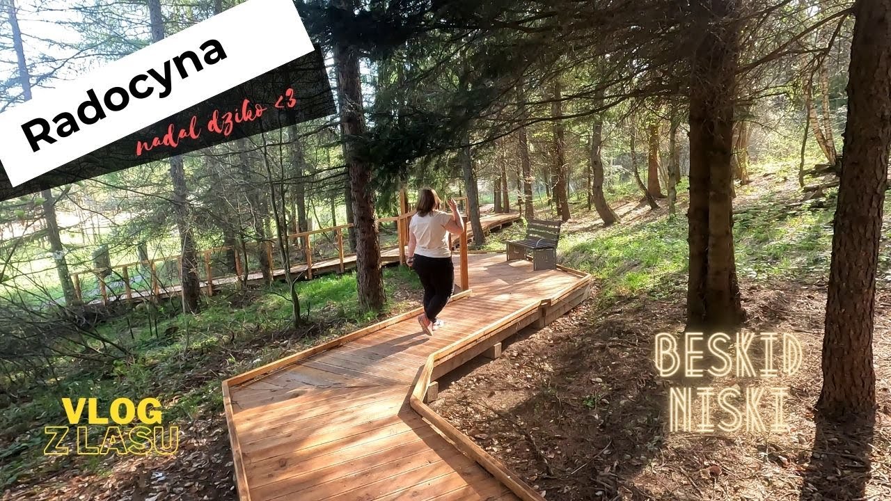 Co nowego w Radocynie? ❤️‍🔥 | BESKID NISKI