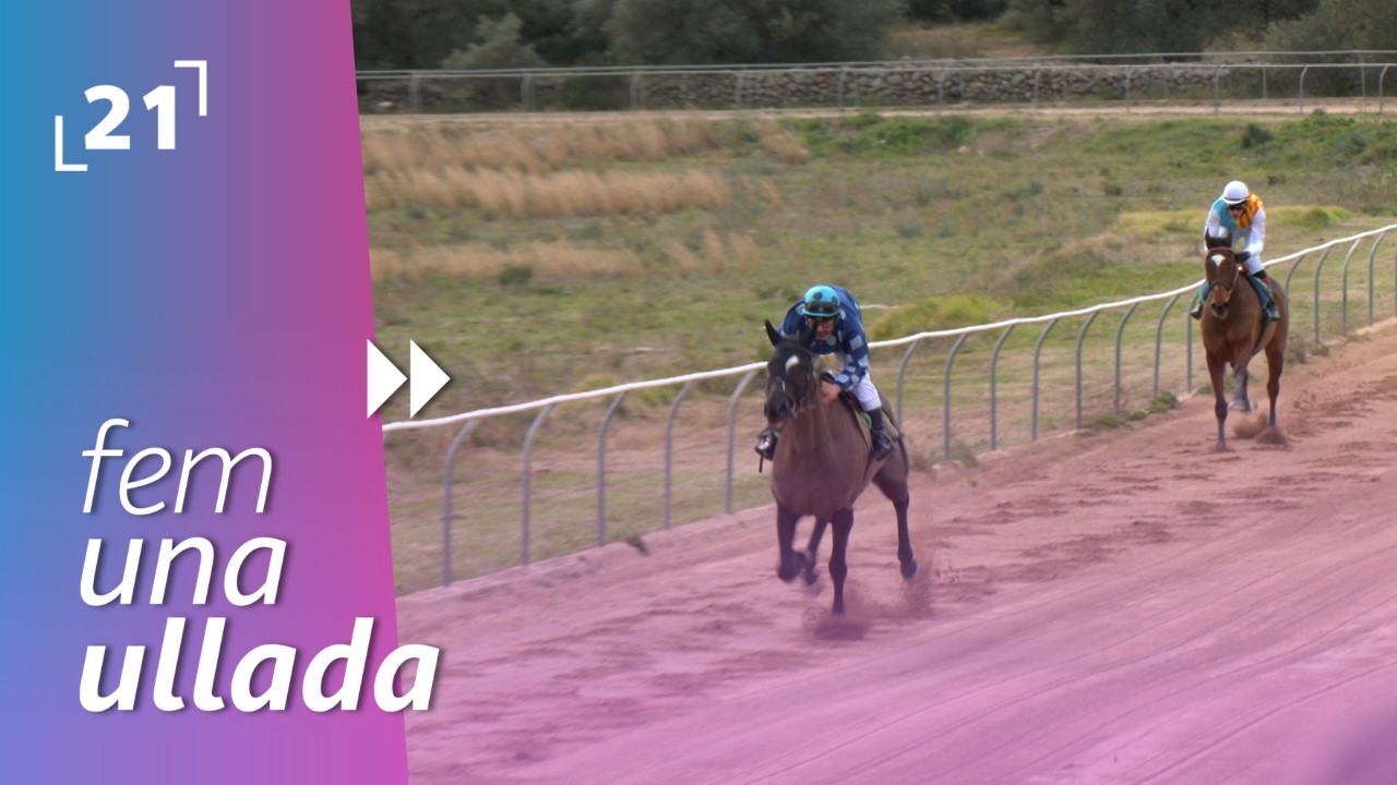 Fem Una Ullada: Cursa de cavalls pura sang anglesos a La Sènia