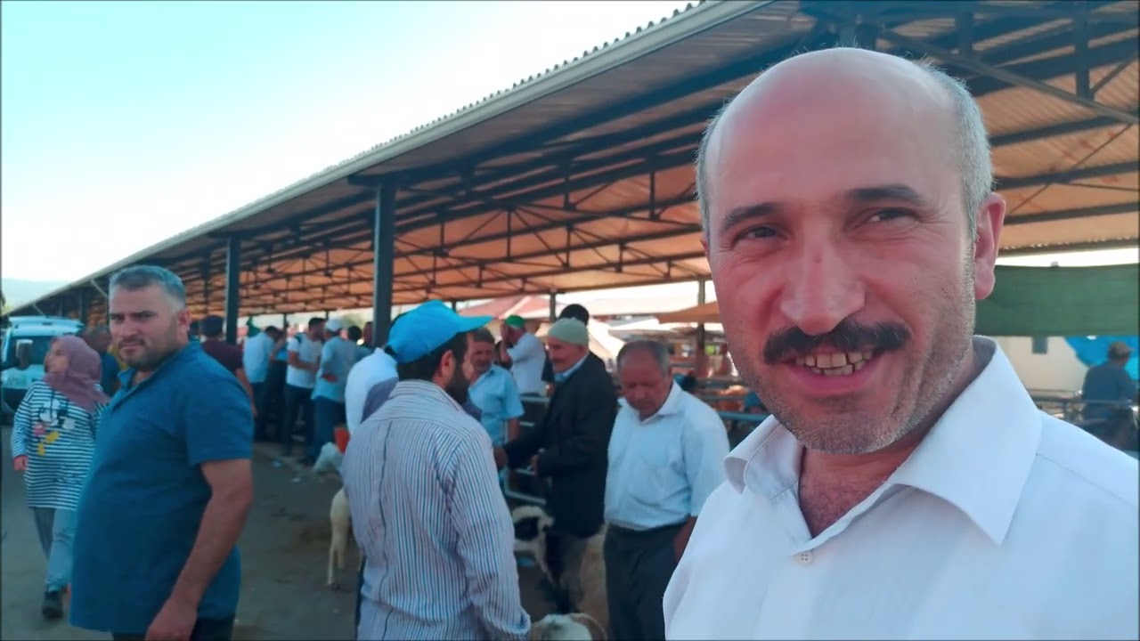 ERBAA MAL PAZARI ERBAA HAYVAN PAZARI KURBAN BAYRAMI AREFESİ üçüncü bölüm 07 TEMMUZ 2022