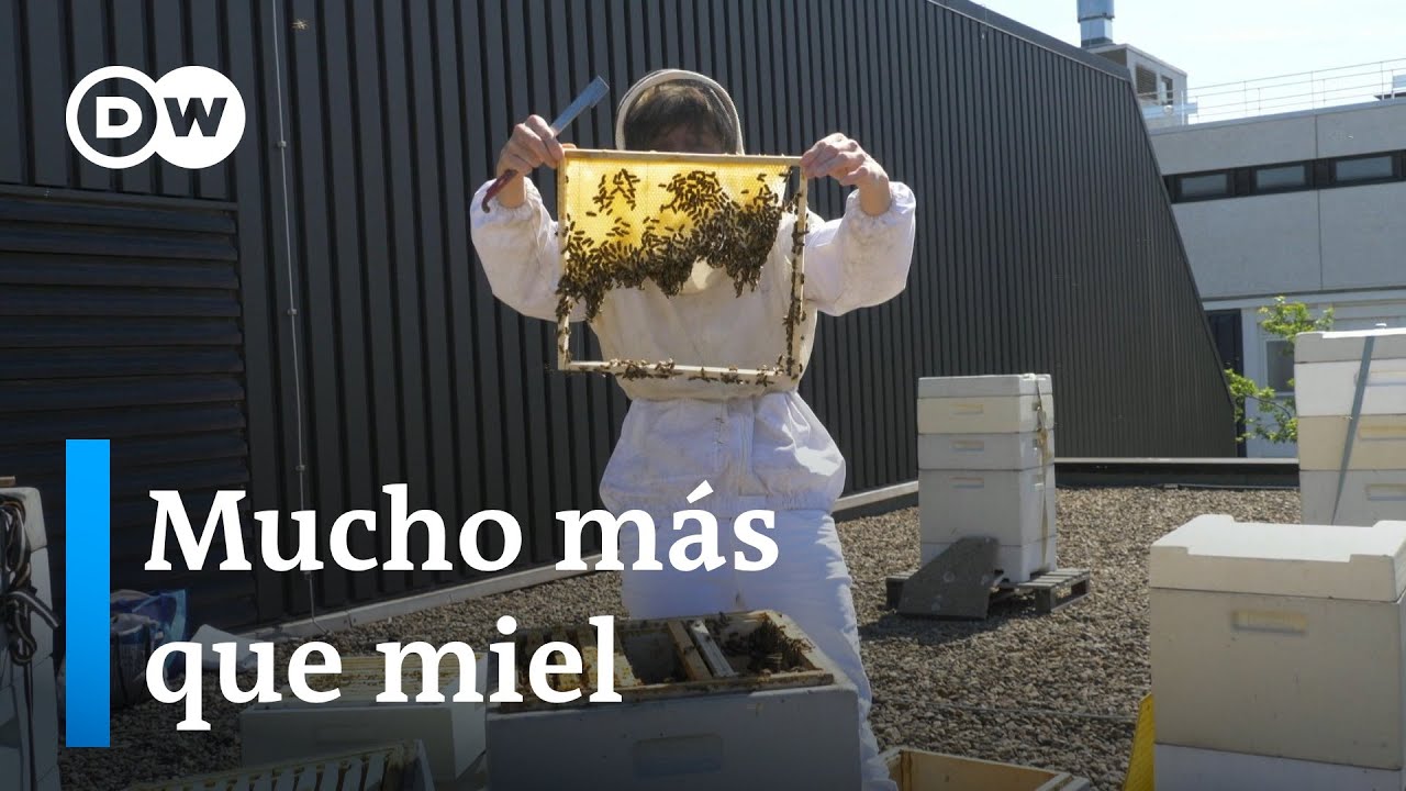 Una apicultora urbana