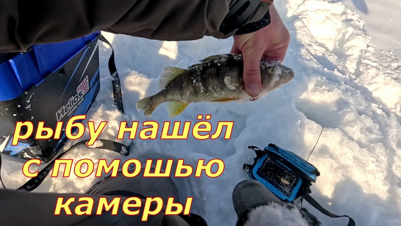 Окуни атакуют блесну вид из подо льда, нашёл подход к рыбе.