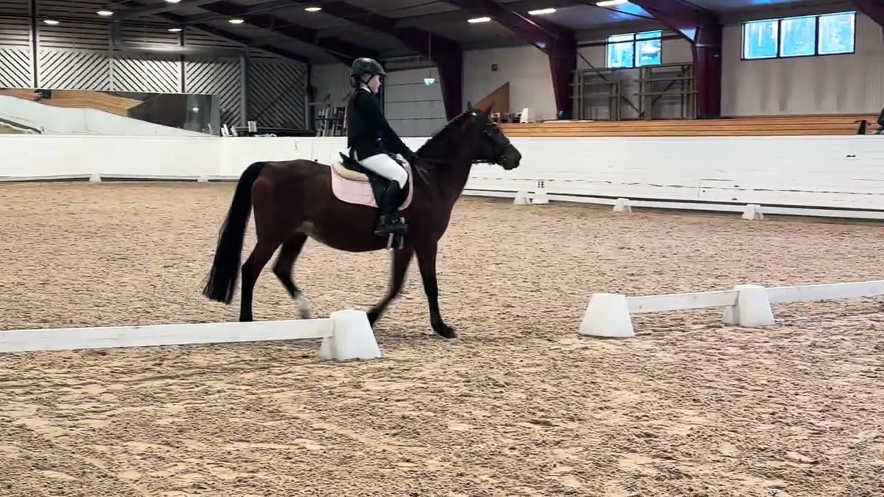 Elin och Twister klubbdressyr Lätt C:1 22 februari 2026