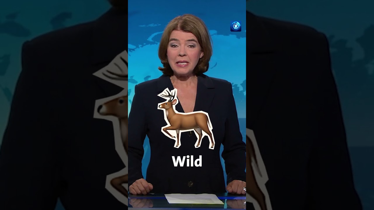 Was ist euer Weihnachtswort 2022? #weihnachten #tagesschau