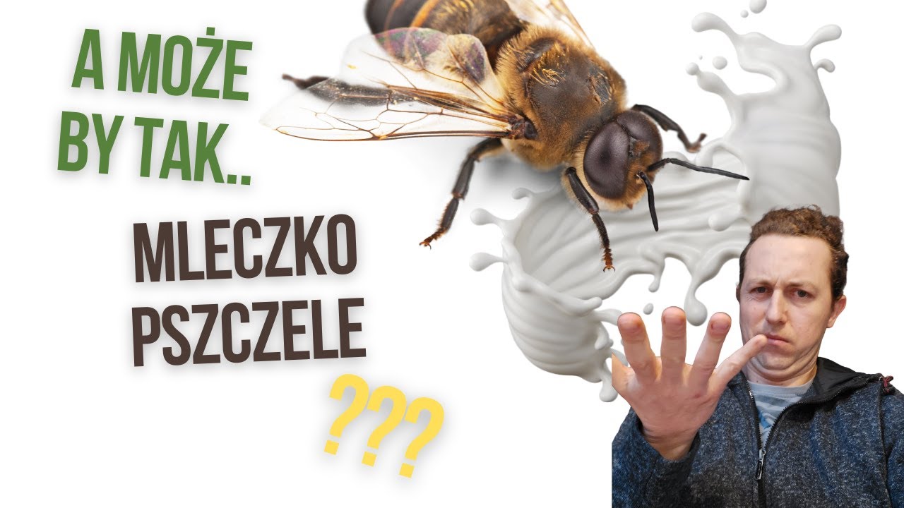 Jak powstaje mleczko i dlaczego tak mało os&oacute;b je produkuje?