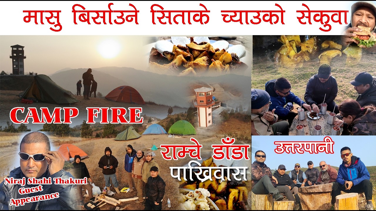 मासु बिर्साउने सिताके च्याउको सेकुवा Uttarpani Sitake Mushroom Sekuwa l Campfire Pakhribaas Ramche