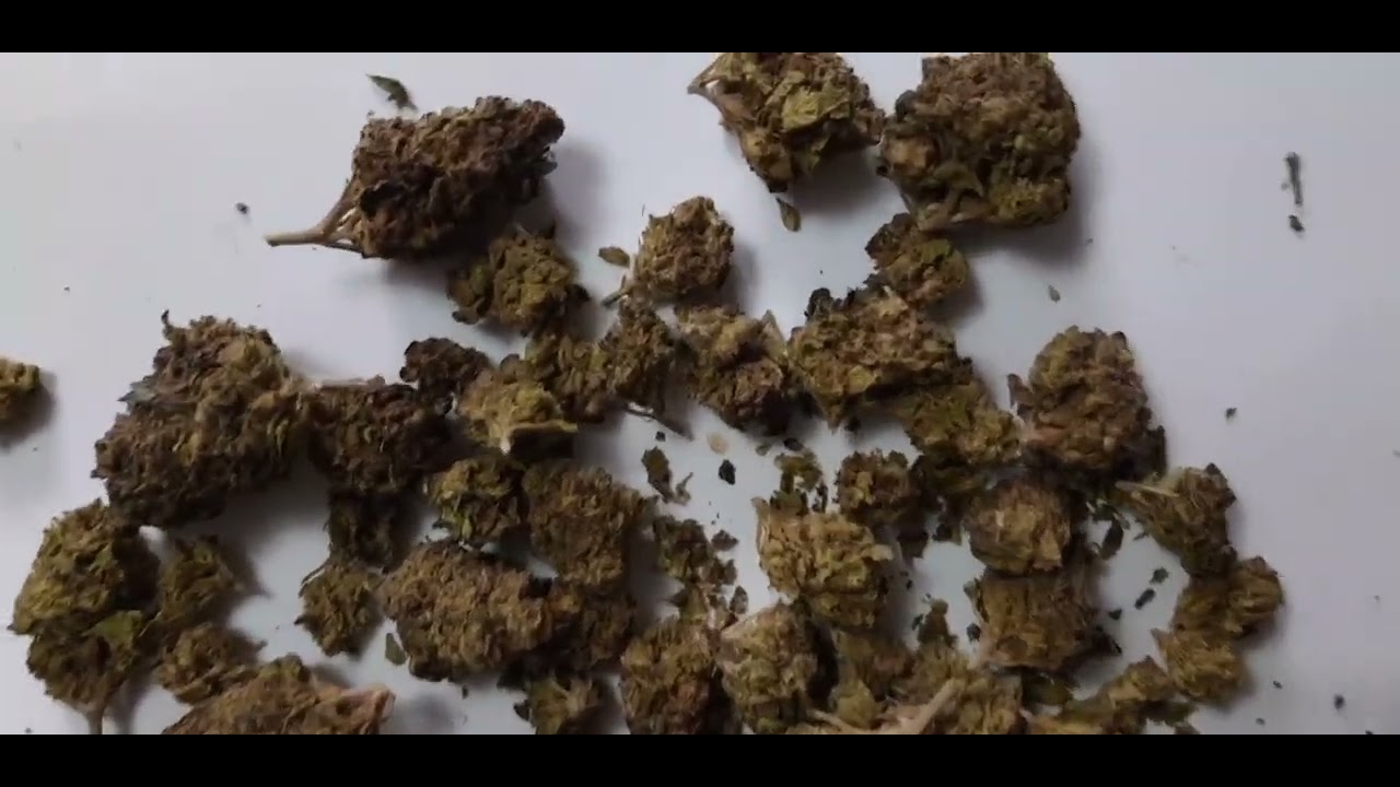 Lit Farms 39.99 -59.99oz. Honest to review THCa #thcareview