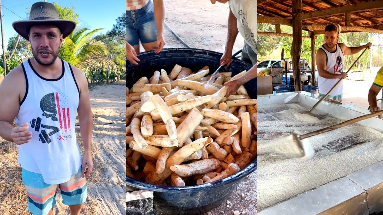 Fui na Roça Aprender como é Feito a Tapioca e a Farinha de Mandioca!