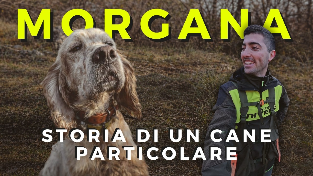 MORGANA. STORIA DI UN CANE PARTICOLARE