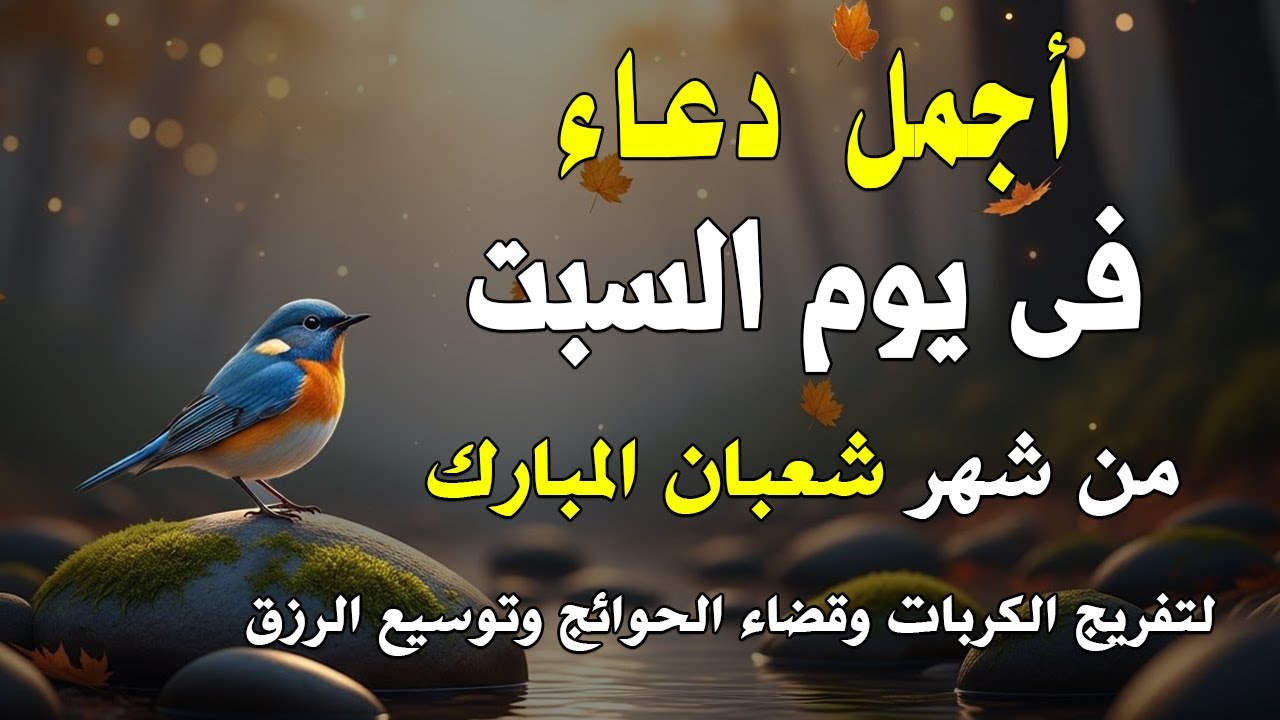 دعاء فى يوم السبت المستجاب دعاء يوم 5 من شهر شعبان للرزق والشفاء العاجل وقضاء الحوائج 🤲4k