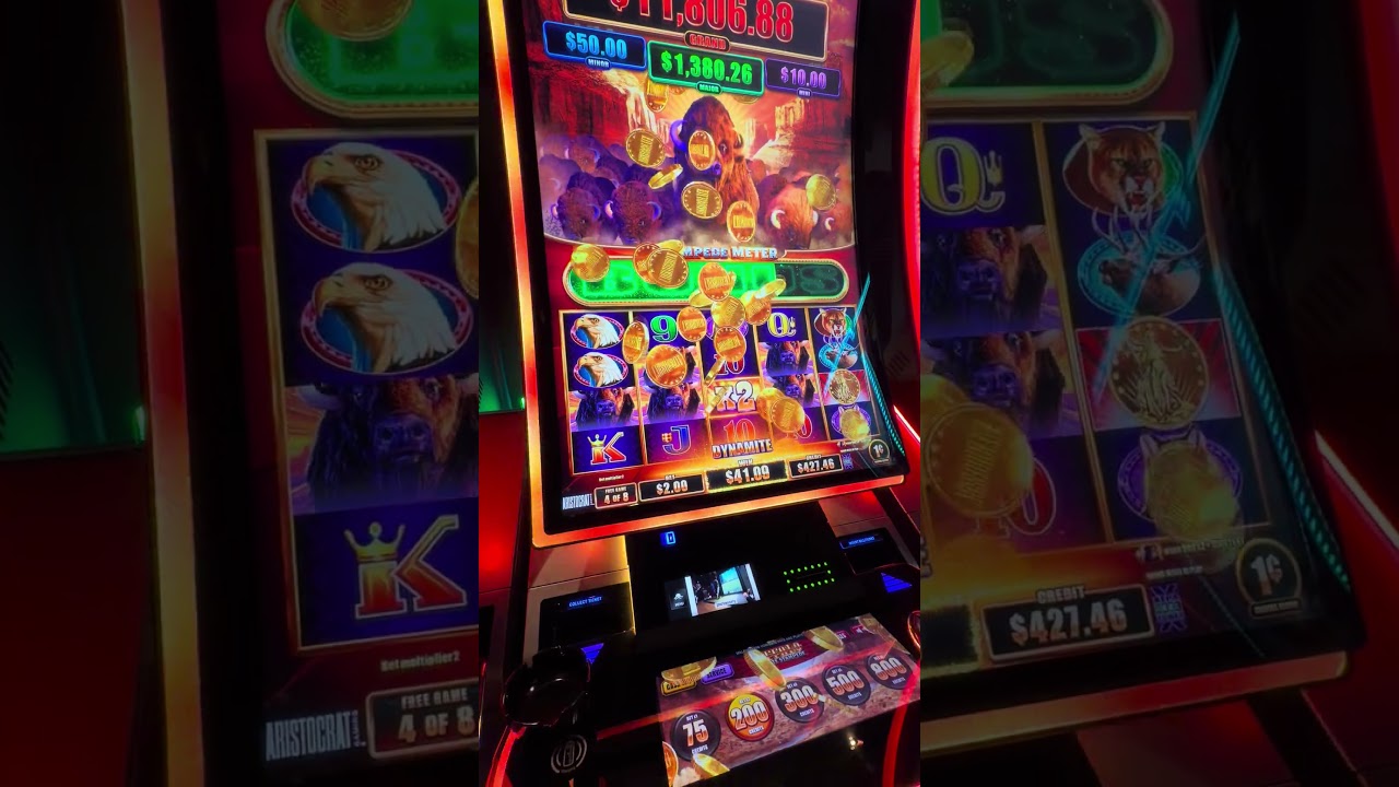 Buffalo Ultimate Stampede Free Games Bonus!! #vegas #slot #slots #gamblinggame #casino