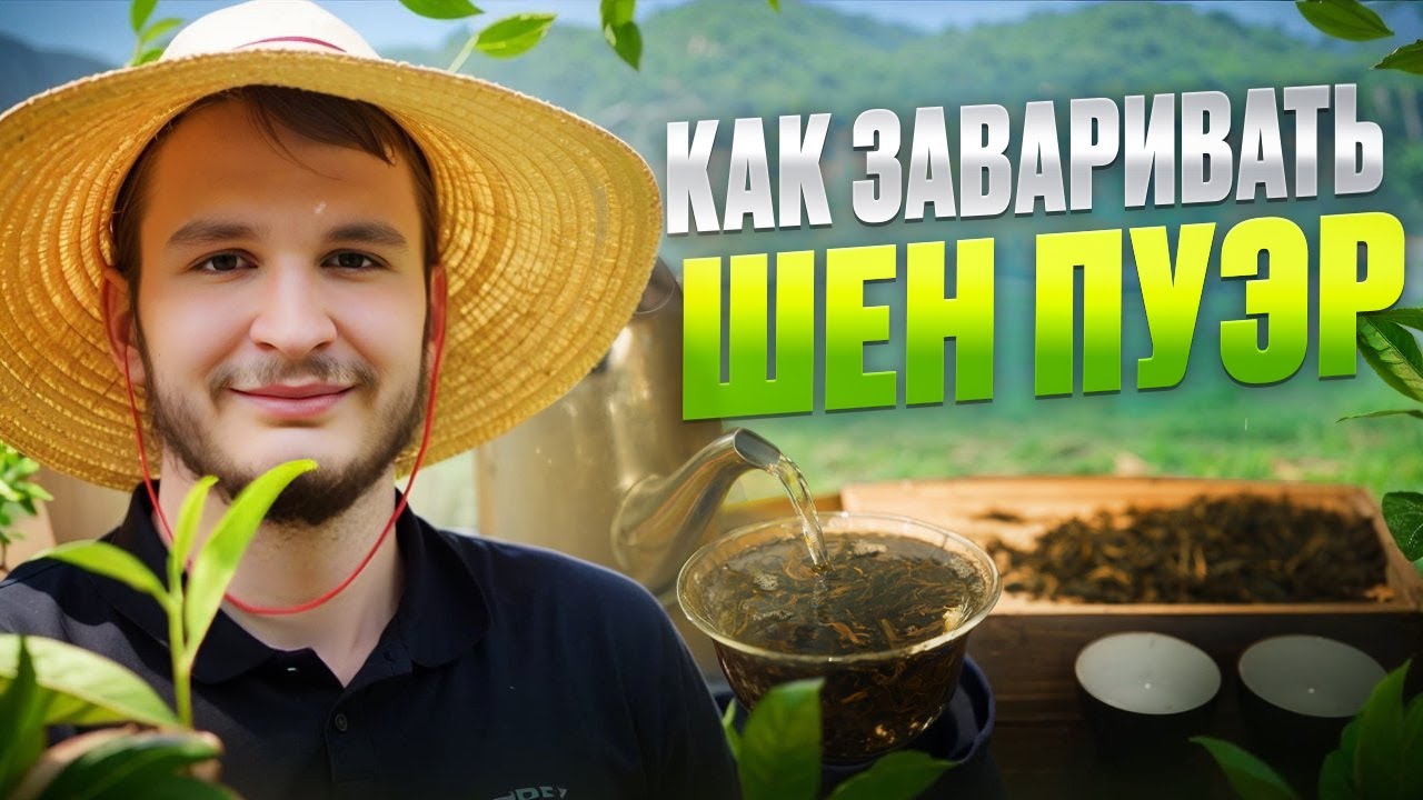 Как заваривать шен пуэр? Рецепт приятного знакомства с юньнаньским зелёным чаем.