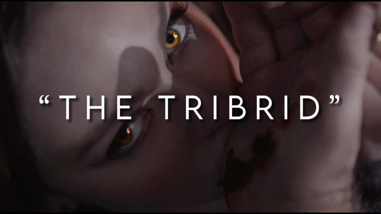 The Tribrid - Hope Mikaelson
