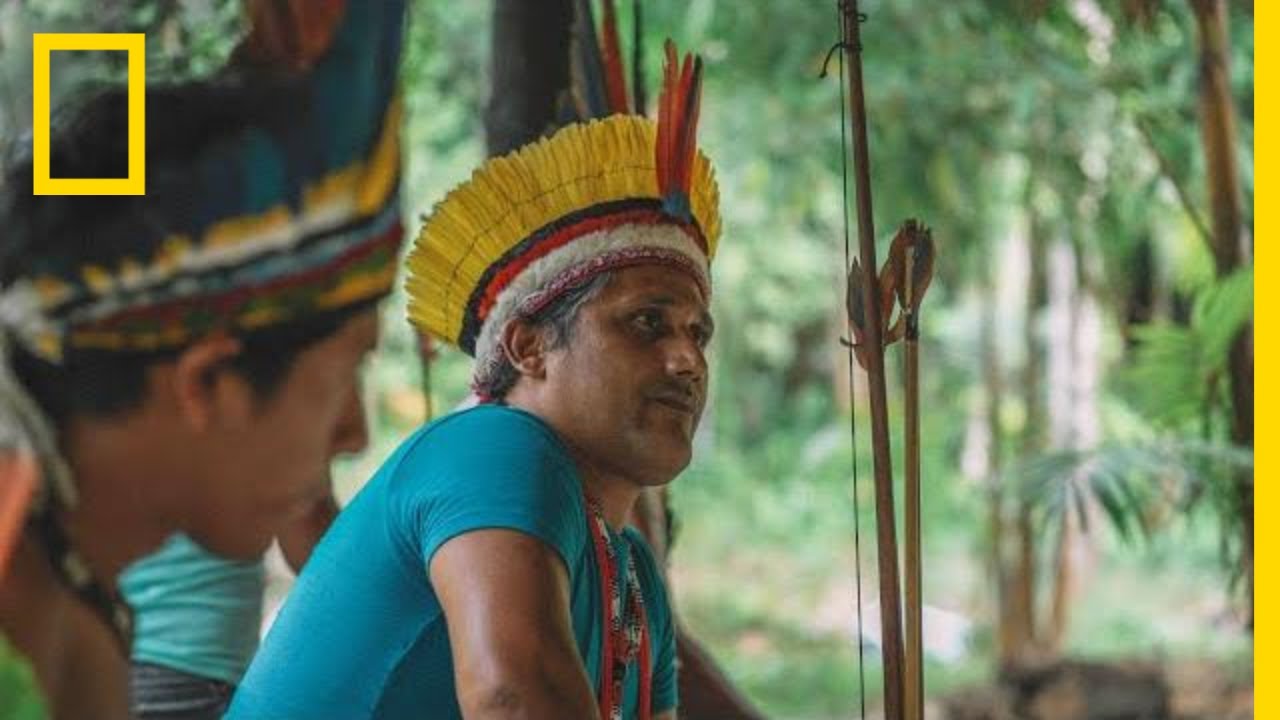 Can Cell Phones Help Save Rain Forests? This Tribe Thinks So | Short Film Showcase