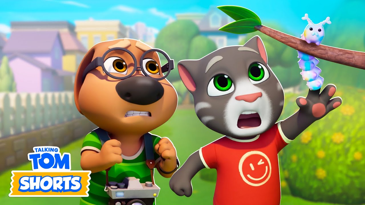 Bug Trouble 🐞🐦 | Talking Tom Shorts: Specials