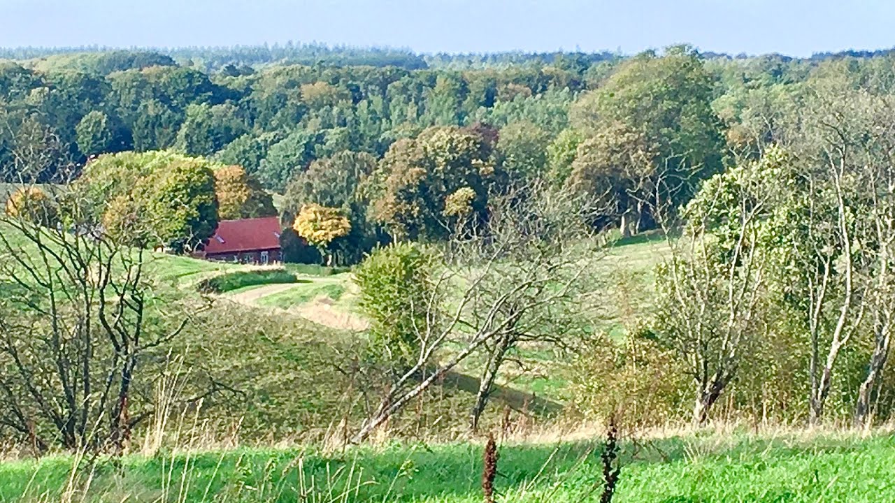 Denmark: Autumn Walk Dollerup - Skelh&oslash;je - Dollerup      7. October 2022