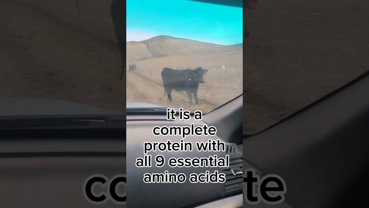 Don't buy into the beef isn't healthy propaganda. It's not true. #ranch #beef #cow #ranchwife