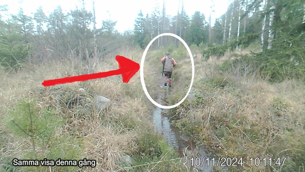 Viltkamera ertappar mystisk jägare