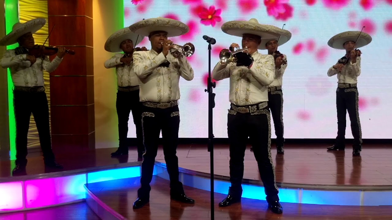 Tengo madre gran mariachi viajero 0181 83110272