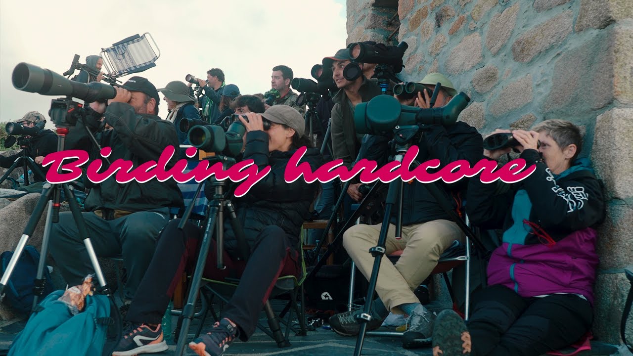 BIRDING HARDCORE.