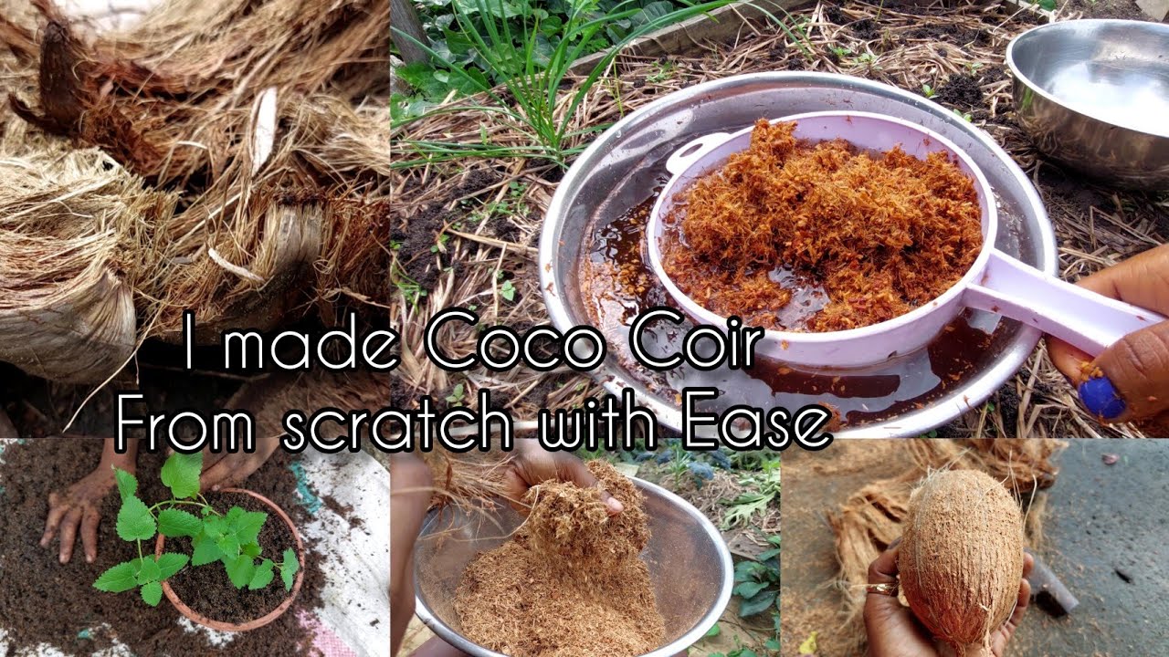 How to make Coconut Coir from Coconut Husk || How to peel coconut husk with ease.