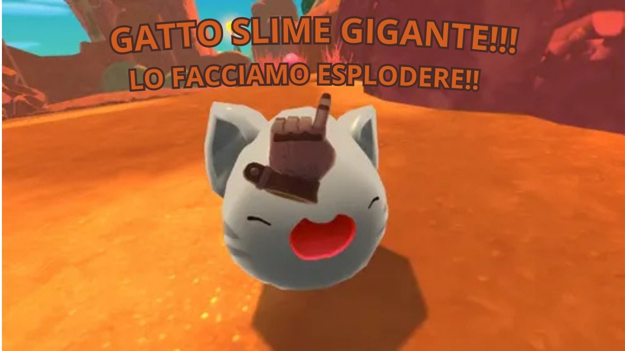 Finalmente facciamo esplodere il gatto gigante!!