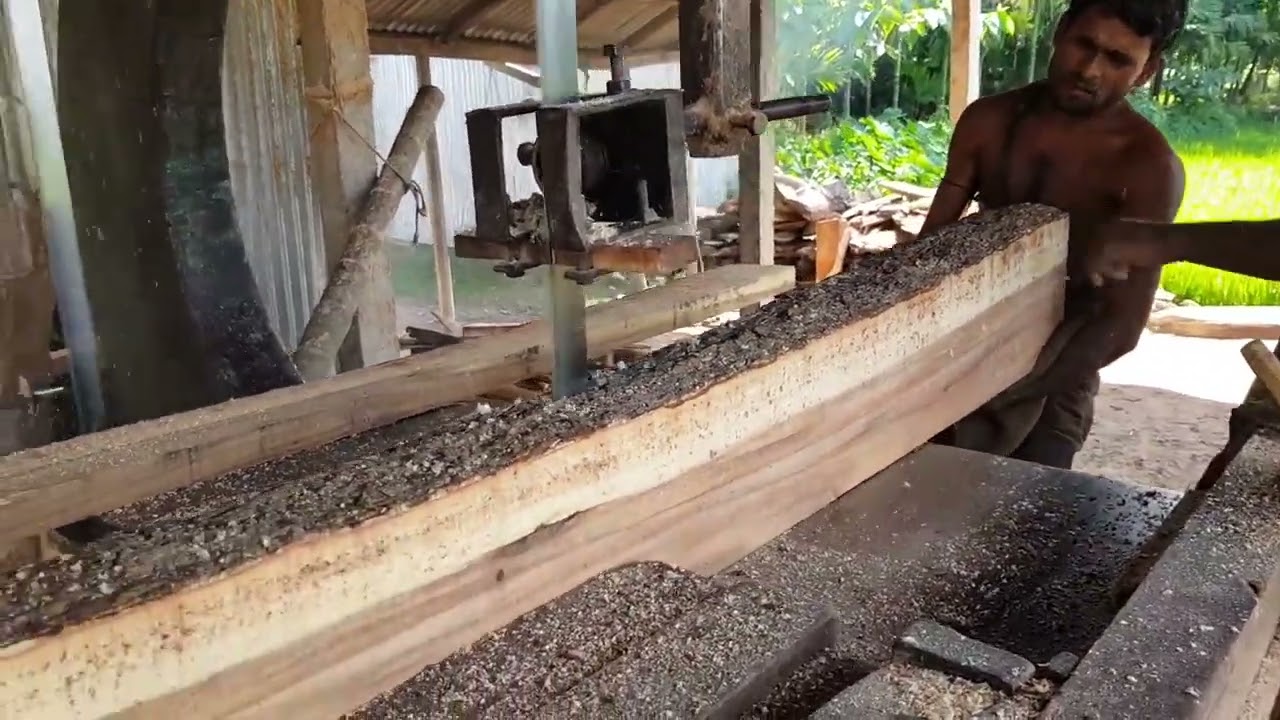 Toughest Wood Cutting Sawmill Bangladesh। Skill Teamwork for Cutting Wood at Sawmill। Dangerous Job