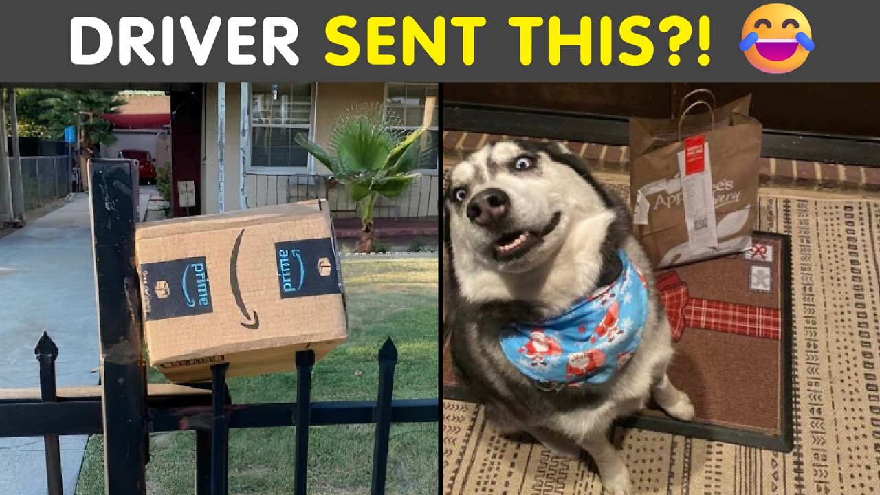 Hilarious Pics Delivery Drivers Sent People 😂 | Funniest Real Photos