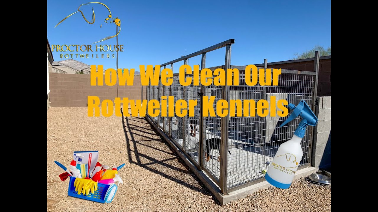 HOW WE CLEAN OUR ROTTWEILER KENNELS (KUPPET WASHING MACHINE)