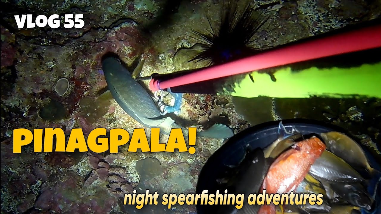 vlog 55~pinagpala tayo 🐠🙏 || night spearfishing sa paboritong spot