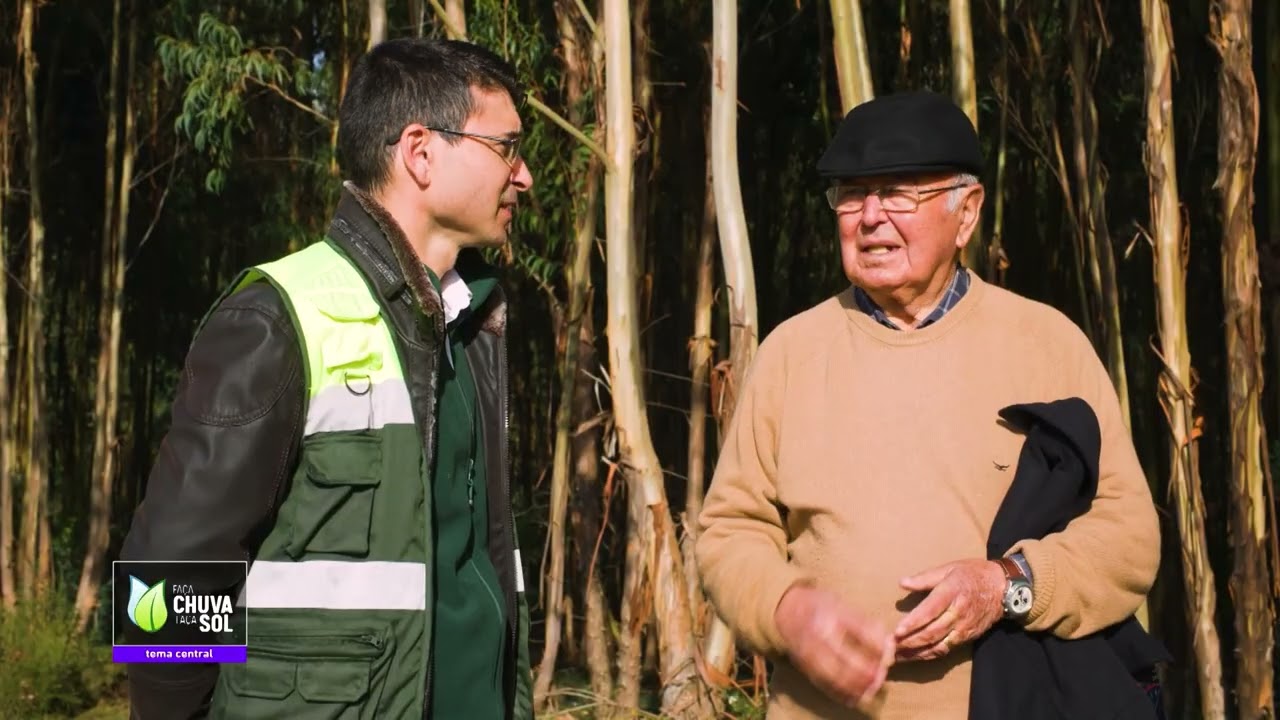 Reportagem Faça Chuva Faça Sol sobre a floresta portuguesa