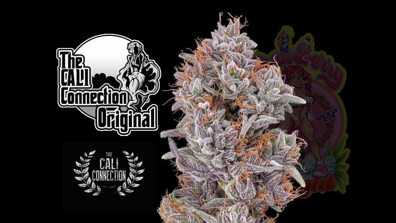 The Cali Connection : Smokebreak EP433