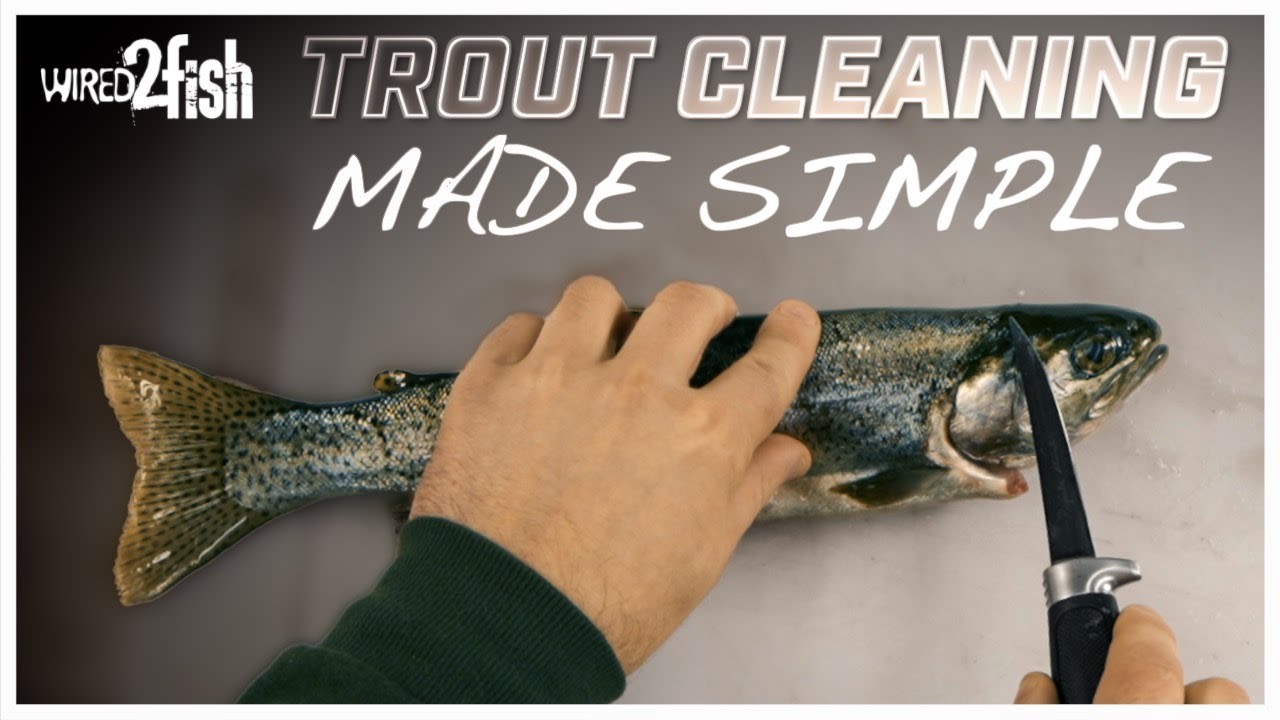 How to Clean a Trout | Quick and Easy Method