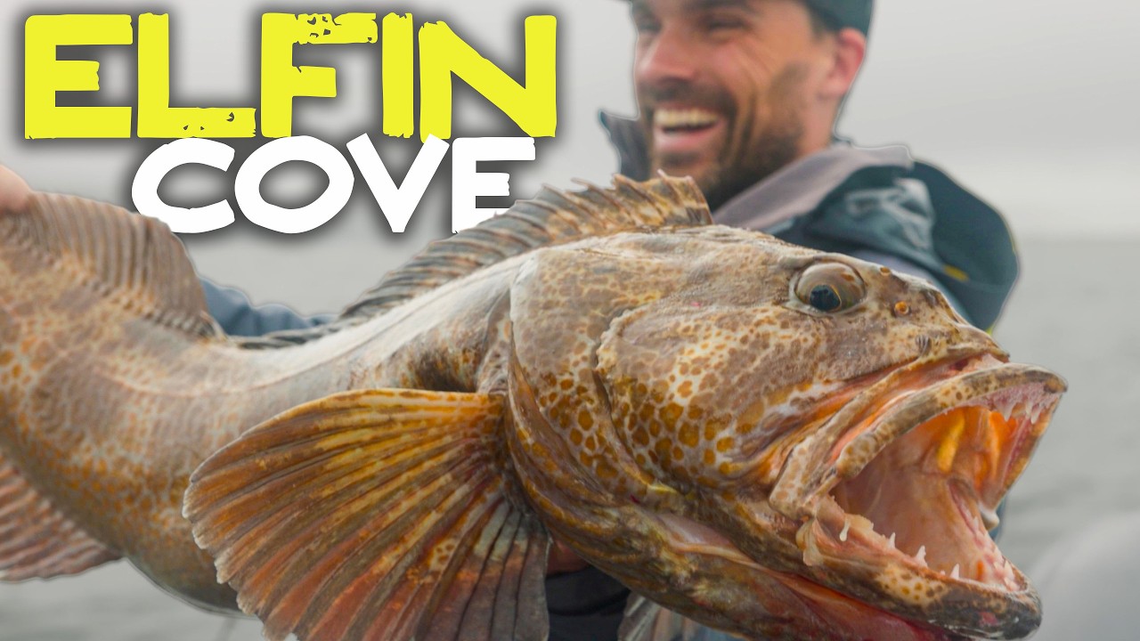 Epic Alaska Fishing Adventure | Halibut, Salmon & Whales in Elfin Cove
