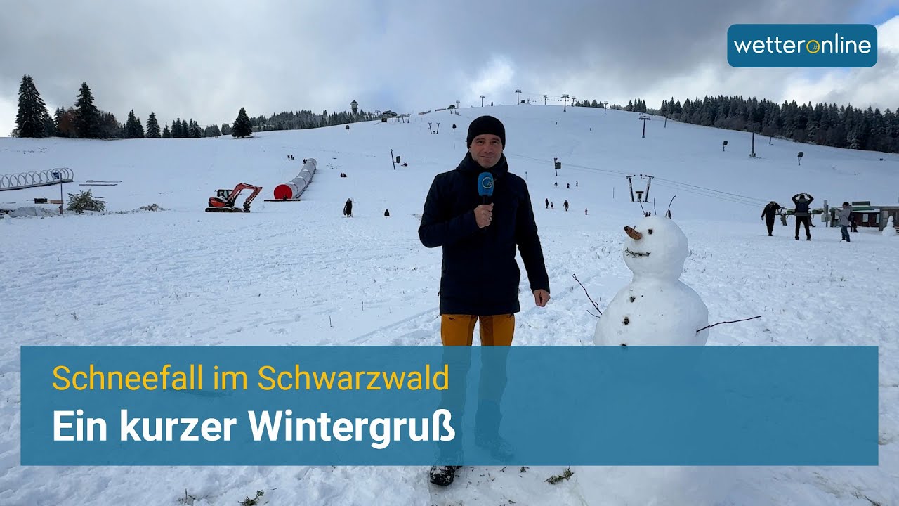 Schneefall im Schwarzwald - Ein kurzer Wintergruß