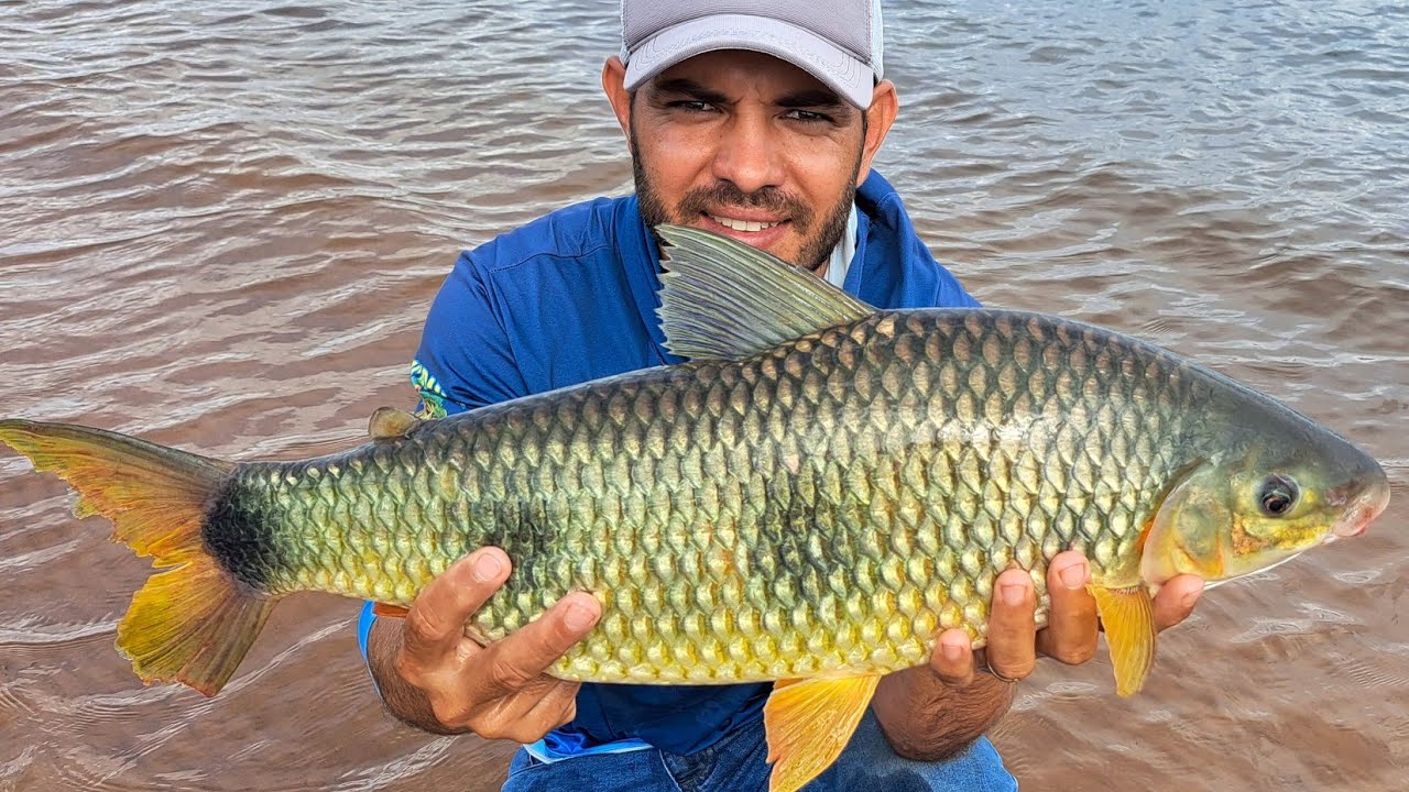 PIAPARA GIGANTE , ACERTAMOS O CARDUME E FOI PIAPARA , PIAUÇU E PIAU 3 PINTAS PRA TODO LADO/PESCARIA.