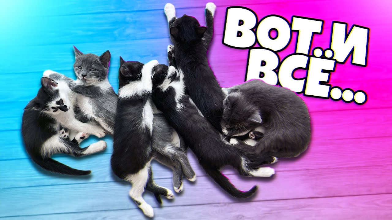 Что стало с 