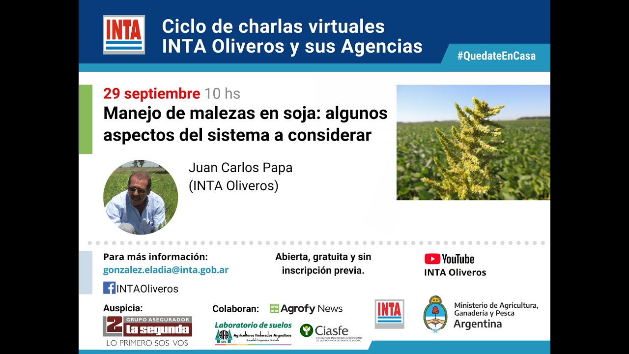 Ciclo de charlas virtuales: Manejo de malezas en soja: algunos aspectos del sistema a considerar