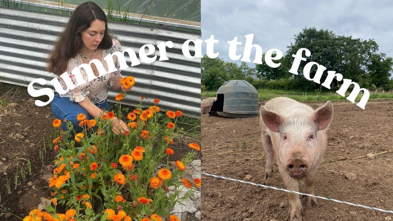 Early Summer on the Farm | Piglets, growing veg, farmer's wife, painting & cottage renovations