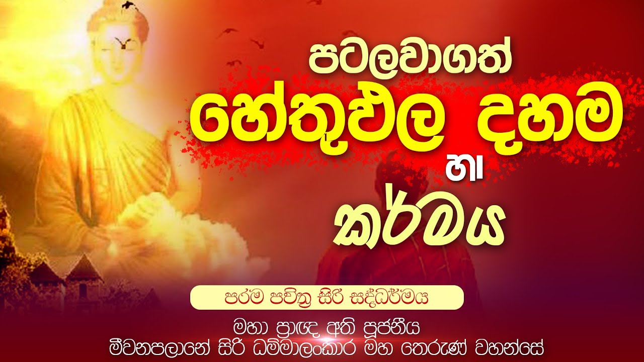 පටලවාගත් හේතුඵල දහම හා කර්මය | මහාප්&zwj;රාඥ මීවනපලානේ සිරිධම්මාලංකාර මහඅරහතුන් වහන්සේ | Damtharana