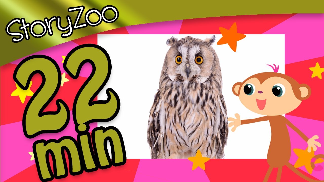 Mega Woorden Leren Compilatie 5 • 22 minuten • StoryZoo