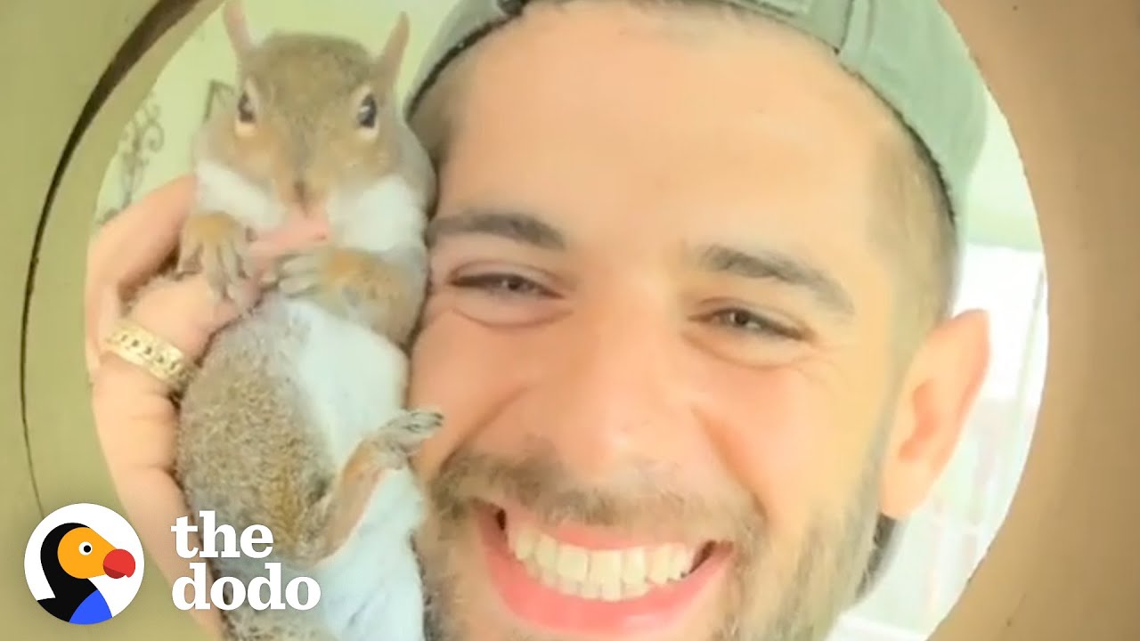 Guy Tried To Release His Rescue Squirrel But She Always Came Back | The Dodo