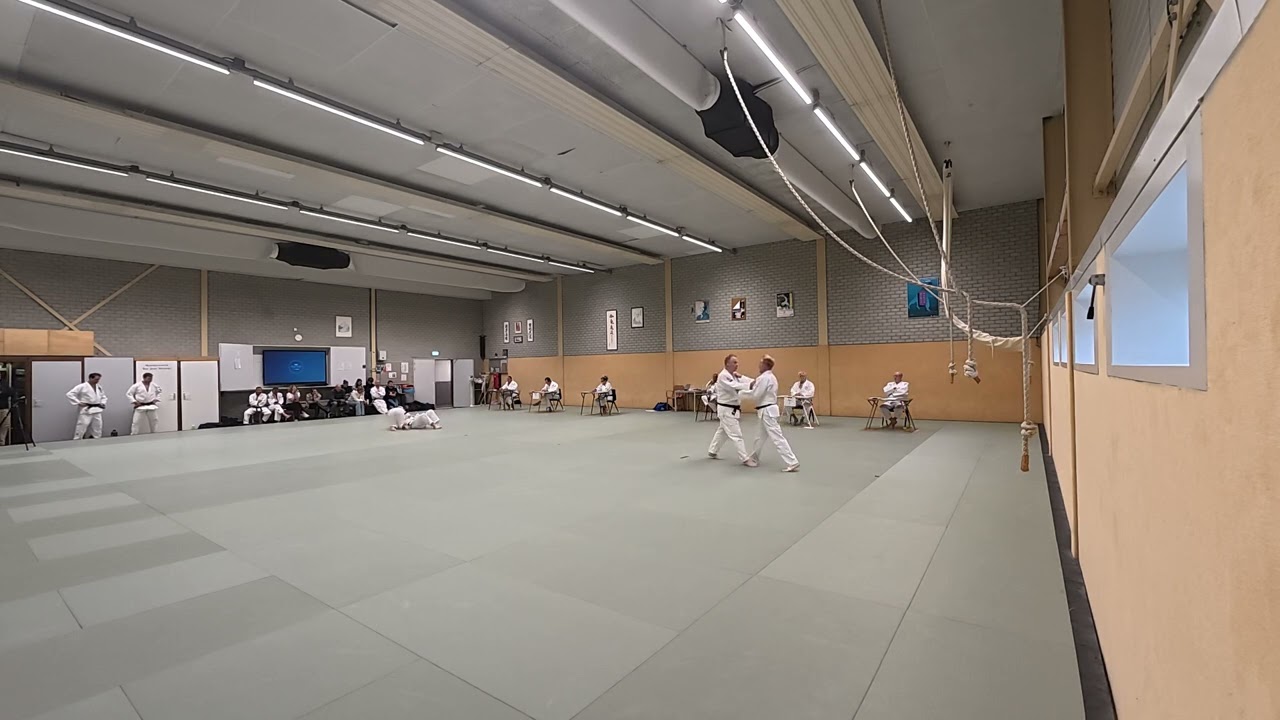 Eigen vaardigheden JLB | JUDO | 2025