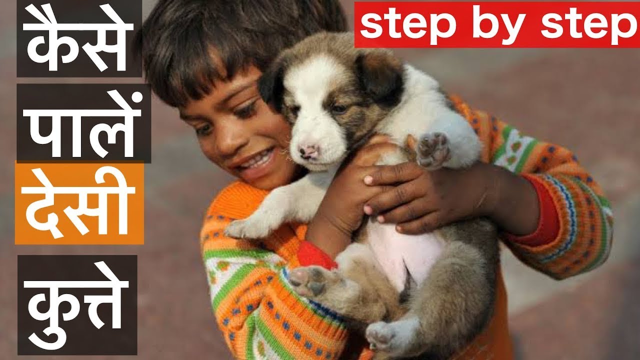 देसी कुत्ते के बारे में जानकारी | How to adopt a street dog | Steps to adopt a street puppy |