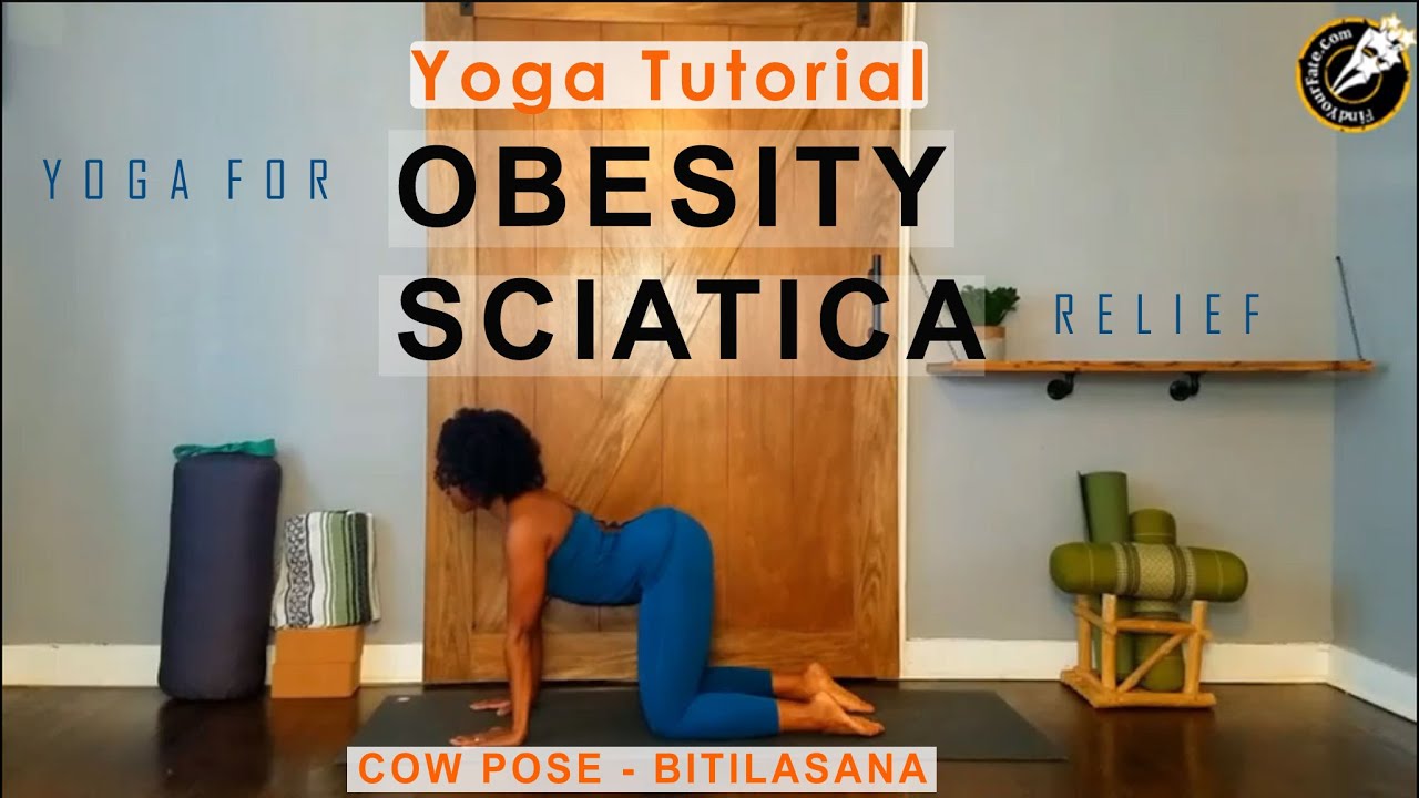 Cow Pose - Bitilasana - YOGA Tutorial - Video-13