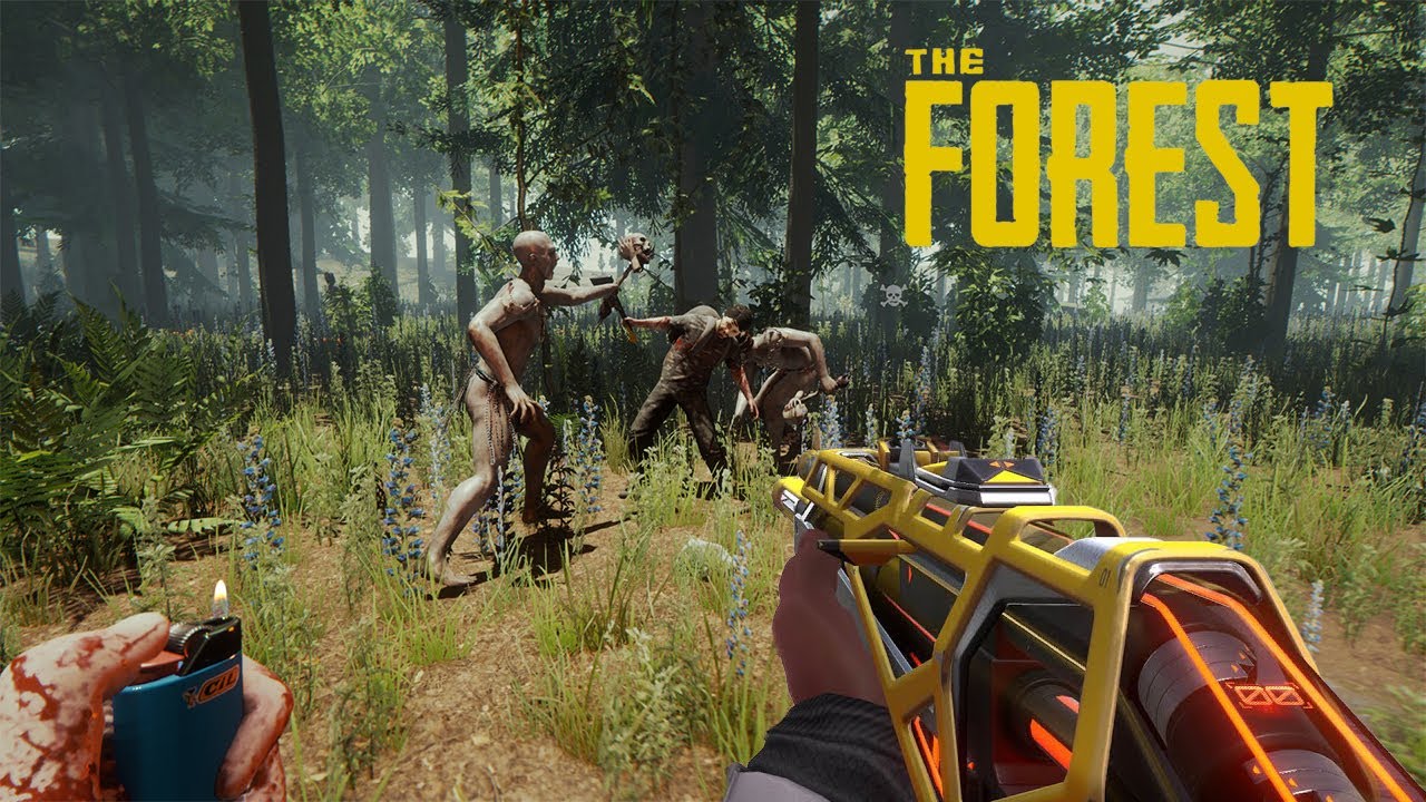 Day 2 How To Survive in The Wilderness