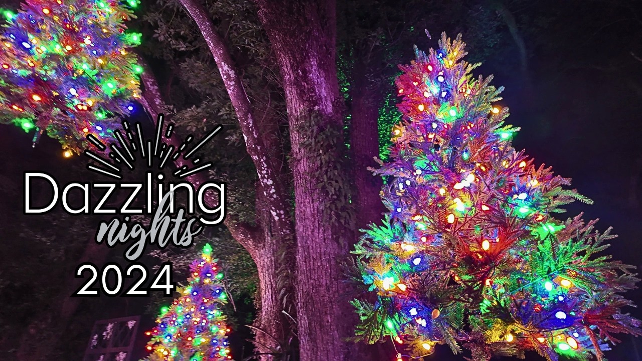Orlando's BEST Holiday Lights Displays You CAN'T Miss in 2024!