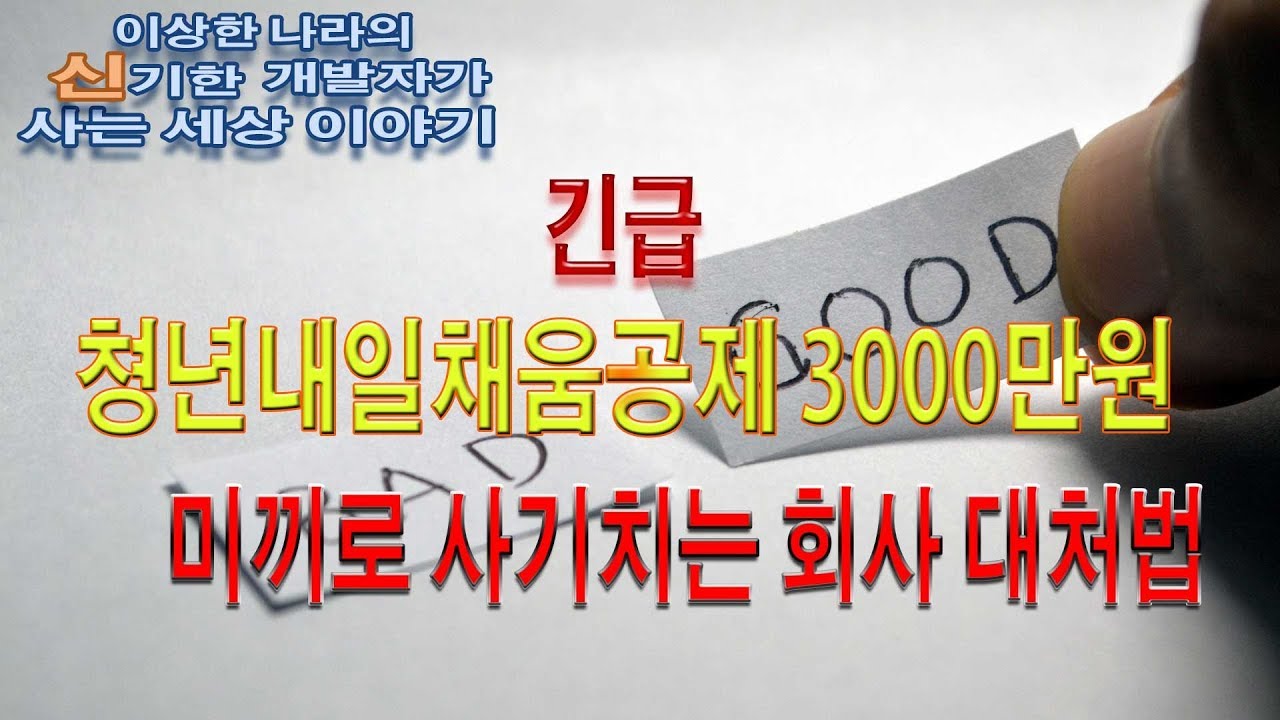 청년내일채움공제 3000만원 미끼로 사기치는 회사 대처법/프로그래머/개발자/si/파견